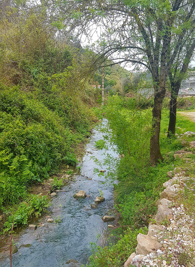 FOTO_AGUA_FLUENTE