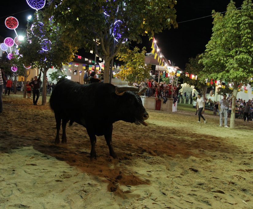 festas2019_85