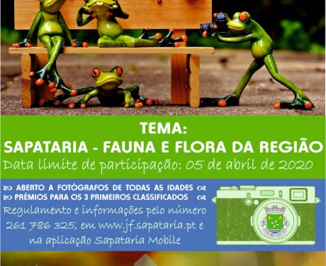 Imagem da noticia