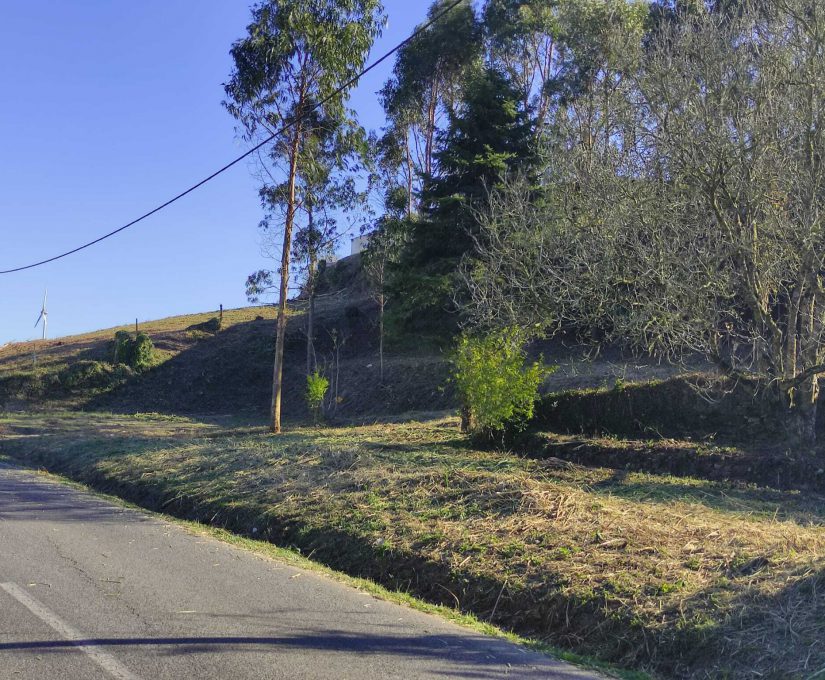 4d74ca0e-1a7d-4693-bf18-0c06884f73f9