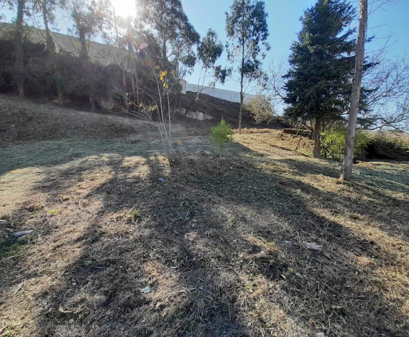 5d70a387-b977-4101-ba88-6b7c3b563544