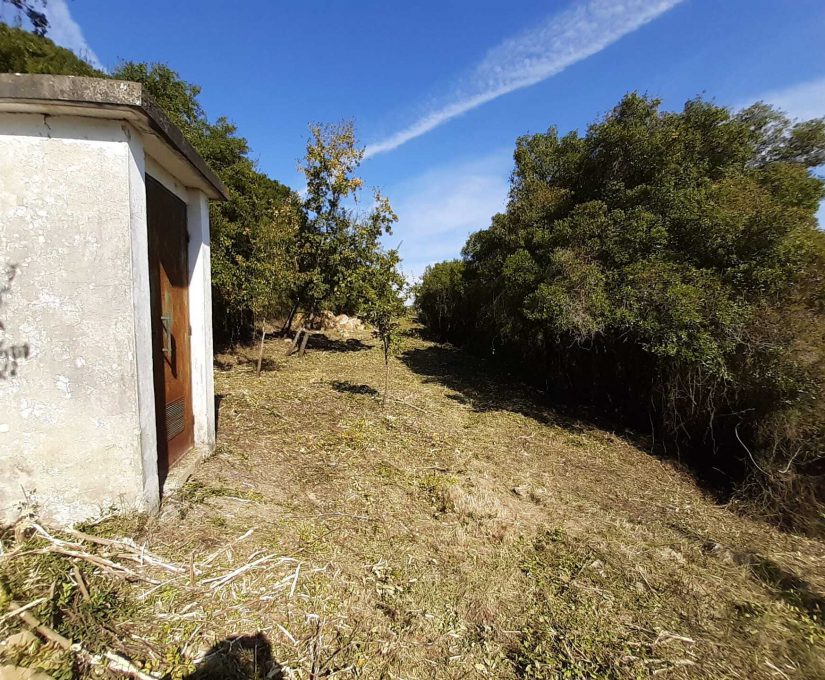 6db9f6e2-782c-4656-92e8-1b560ddf468e