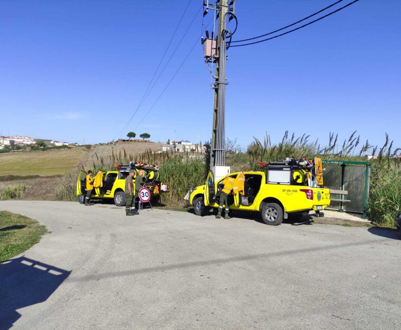 ab2900a2-8886-492a-8fb2-a01d53f72146