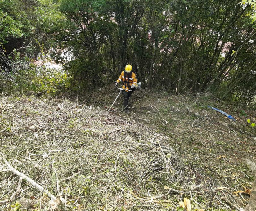 b15b2d19-95a4-4246-8cea-0331f14b844c