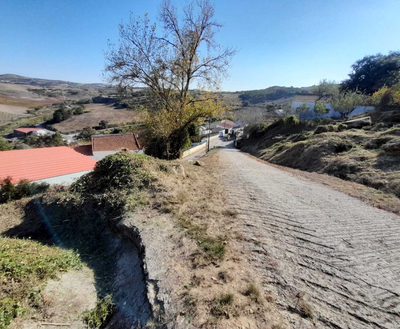 ef35c831-7e07-4c12-a702-b324c1bdc90d