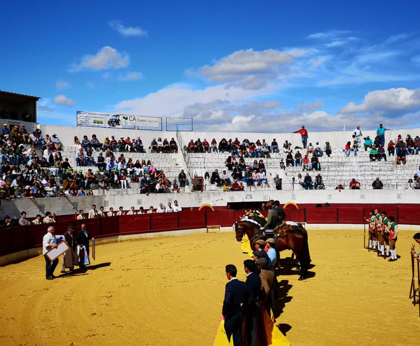 WhatsApp Image 2022-04-26 at 12.52.13