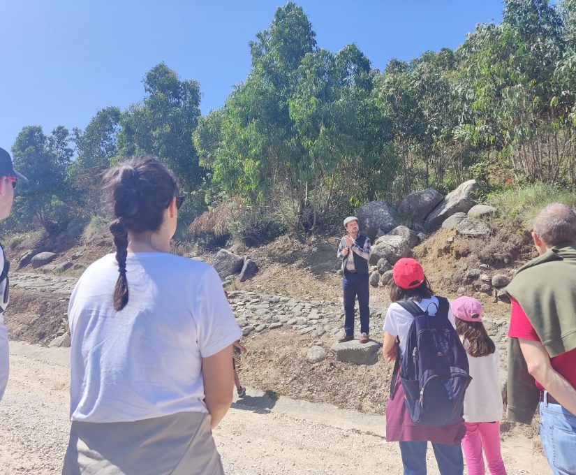 WhatsApp Image 2022-05-27 at 15.44.01