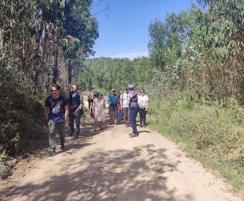 WhatsApp Image 2022-05-27 at 15.44.03