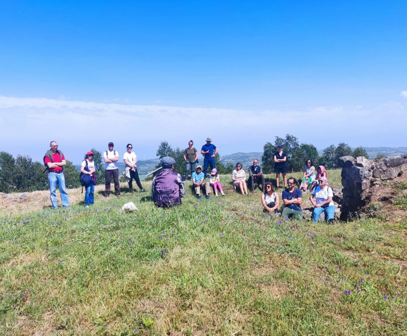 WhatsApp Image 2022-05-27 at 15.44.05