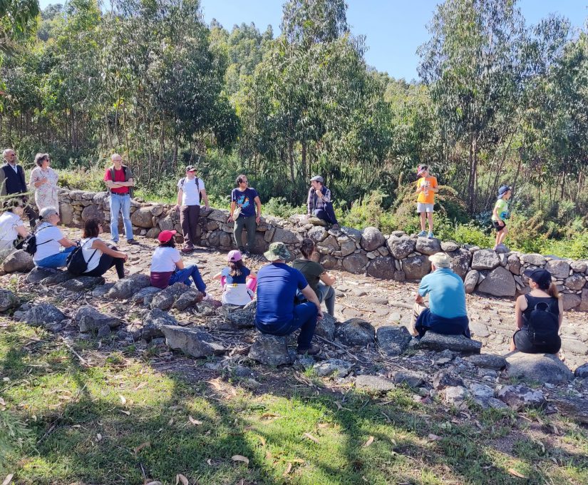 WhatsApp Image 2022-05-27 at 15.44.48