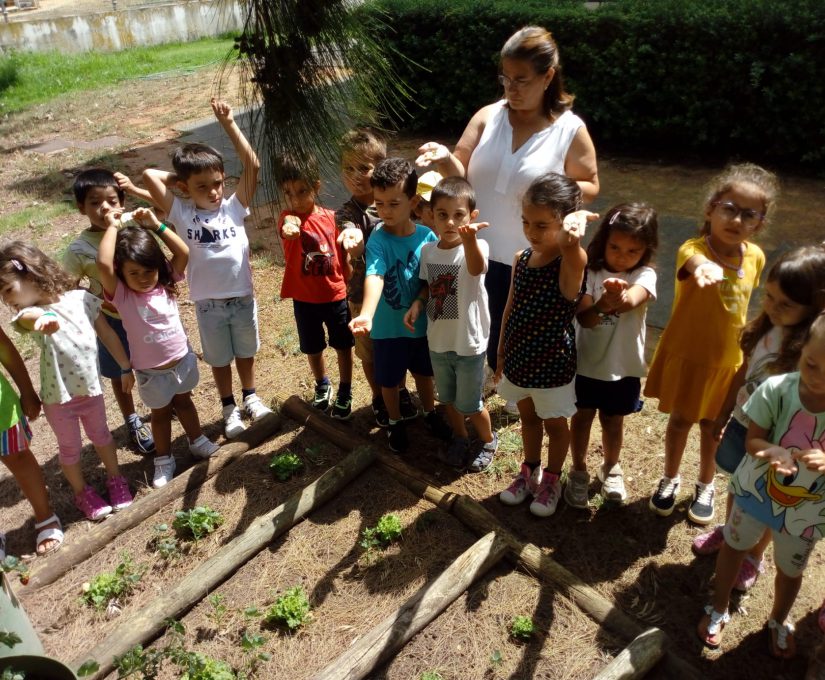 WhatsApp Image 2022-07-19 at 08.16.48