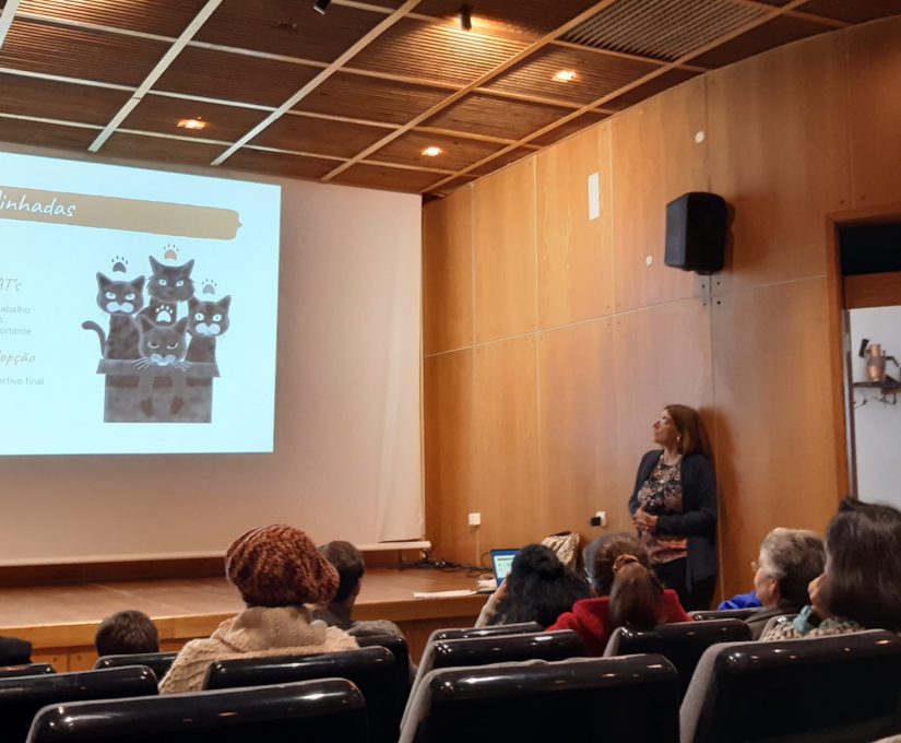 WhatsApp Image 2022-12-18 at 18.11.36