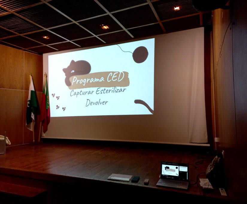 WhatsApp Image 2022-12-18 at 18.17.27