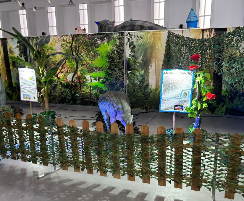 WhatsApp Image 2023-03-06 at 11.15.48 (1)