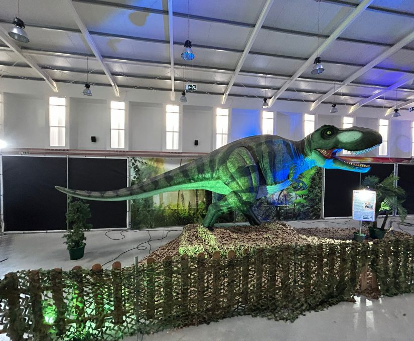 WhatsApp Image 2023-03-06 at 11.15.51