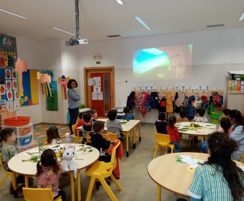 WhatsApp Image 2023-04-12 at 10.44.52