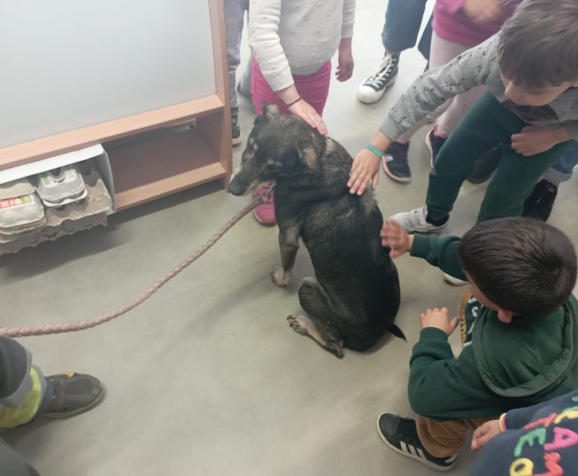 WhatsApp Image 2023-04-14 at 10.32.31