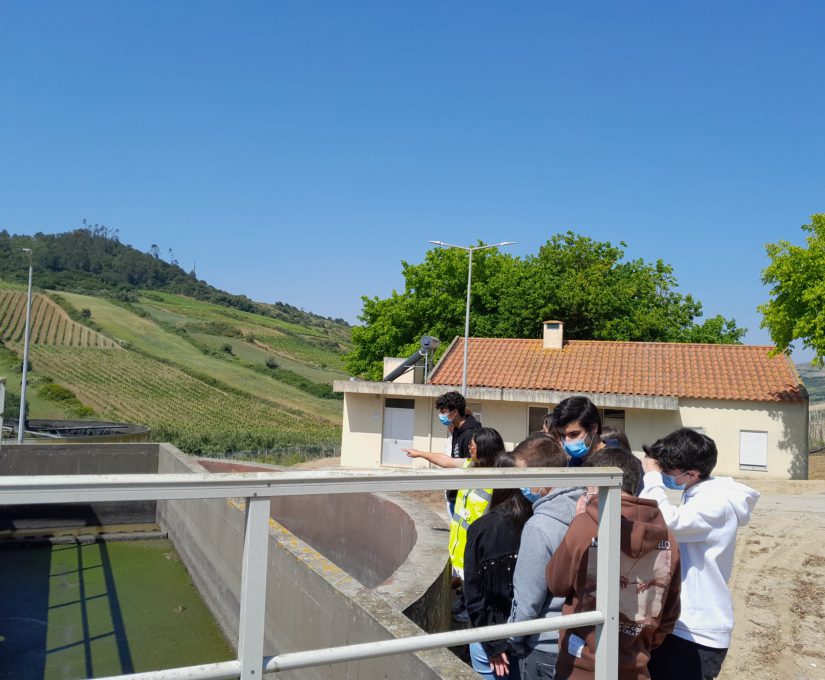 WhatsApp Image 2023-05-22 at 11.55.28