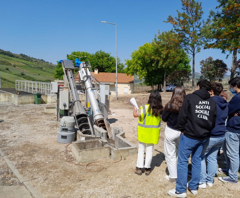 WhatsApp Image 2023-05-22 at 11.55.29