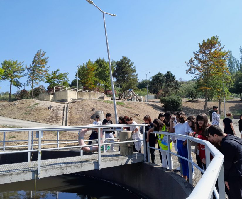 WhatsApp Image 2023-05-22 at 11.55.30 (1)