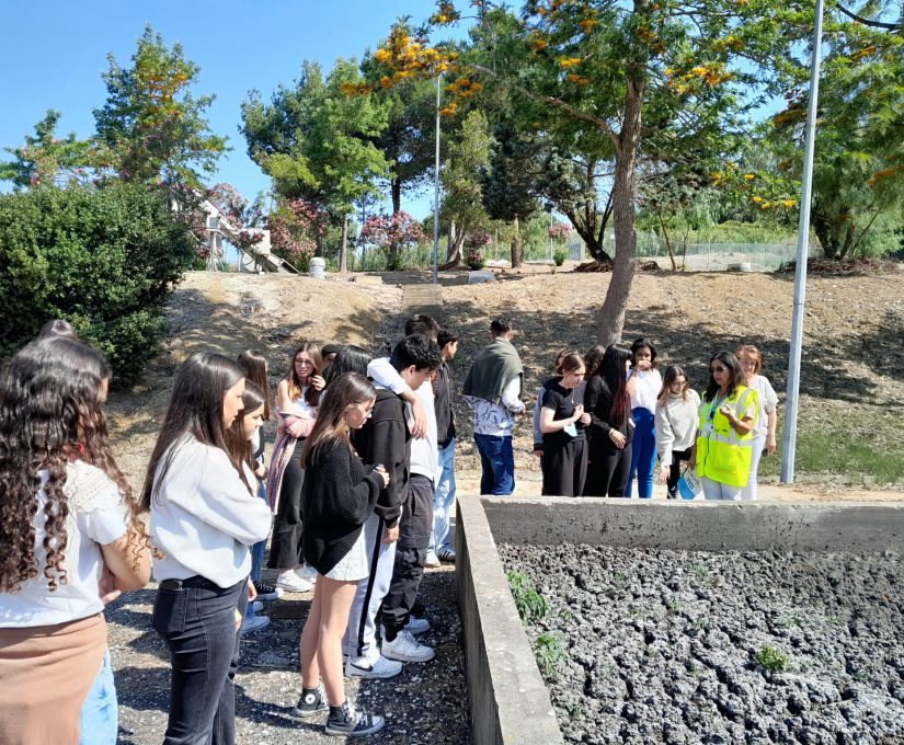 WhatsApp Image 2023-05-22 at 11.55.30