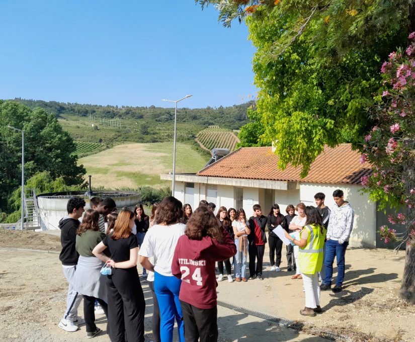 WhatsApp Image 2023-05-22 at 11.55.32