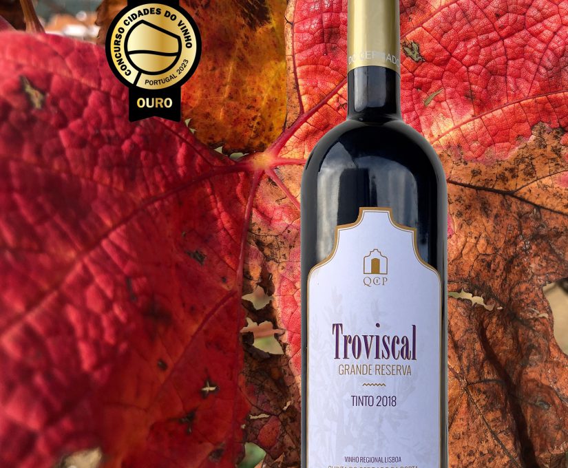 346489550_642475907894465_1024703633014186182_n