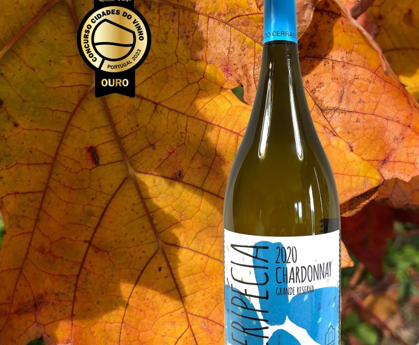 346800394_1000837241077612_1216753892961668177_n