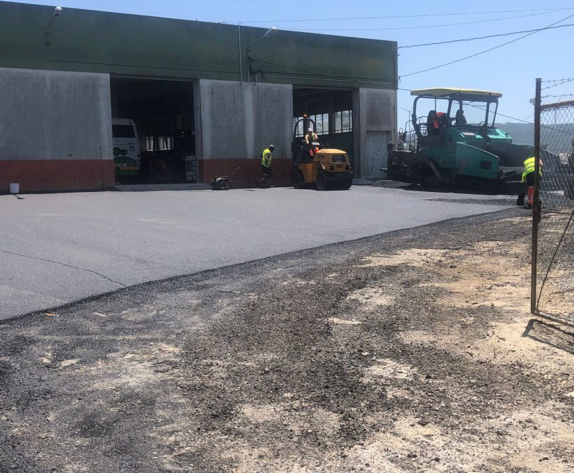 WhatsApp Image 2023-07-24 at 17.04.00