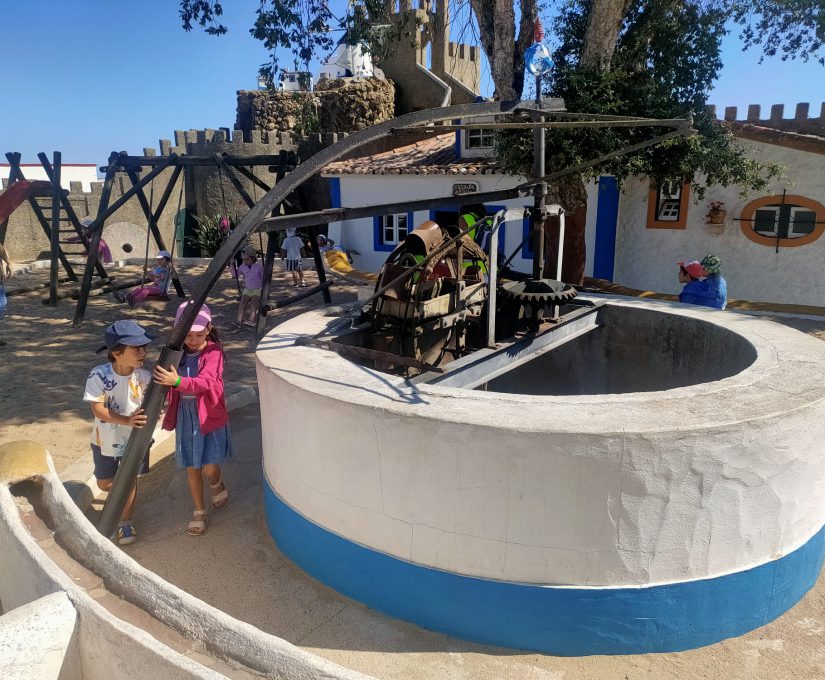 WhatsApp Image 2023-08-04 at 14.53.59