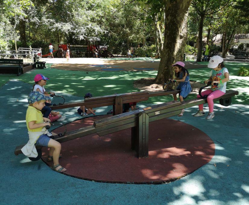 WhatsApp Image 2023-08-04 at 17.08.08