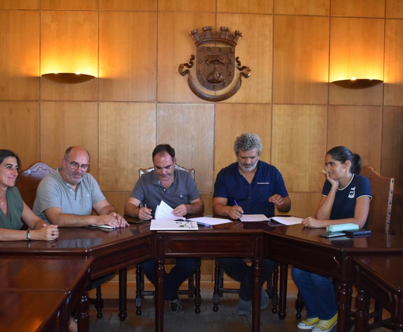 386262725_637959461843794_172407873320245053_n