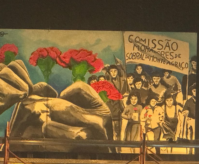 WhatsApp Image 2025-04-28 at 11.13.31