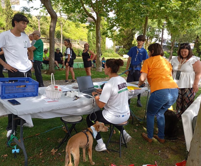 WhatsApp Image 2025-06-23 at 09.49.42