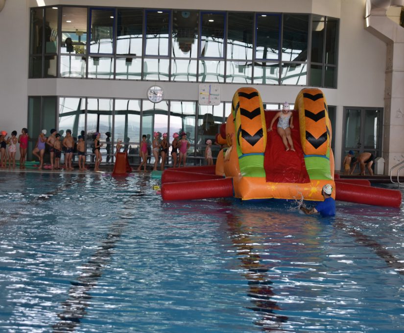 513861538_1066539032319166_6384832892384028730_n