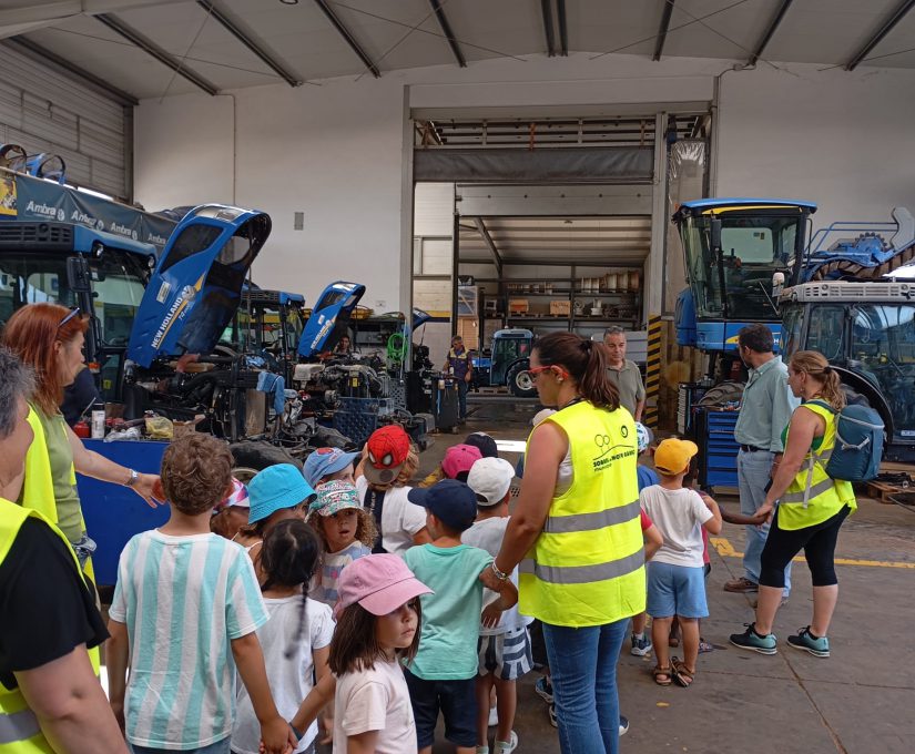 WhatsApp Image 2025-07-04 at 16.54.50 (1)