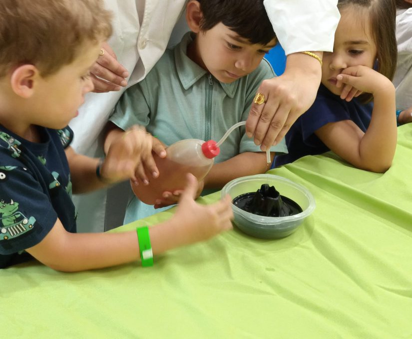 WhatsApp Image 2025-07-08 at 11.32.45