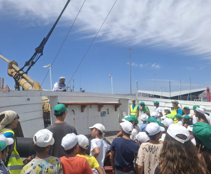 WhatsApp Image 2025-07-17 at 16.30.51 (4)