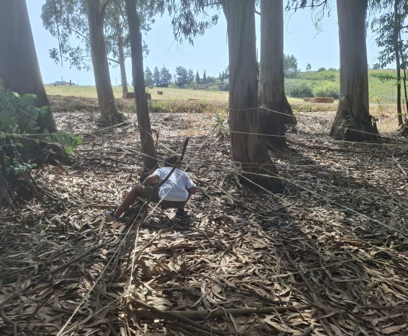 WhatsApp Image 2025-08-08 at 19.18.12 (5)