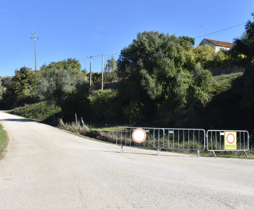 571817589_1176607824645619_6813810550325328364_n