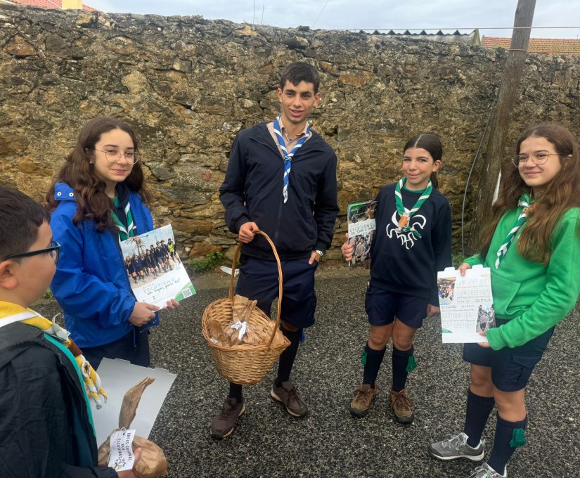 WhatsApp Image 2025-11-03 at 09.31.00